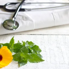 Where does Complementary and Alternative Medicine Fit in US Healthcare