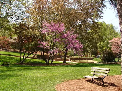 Glencairn Gardens in Rock Hill, SC