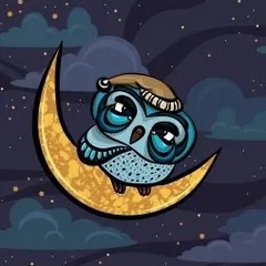 Night Owl 2