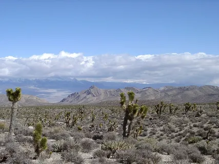 Las Vegas Area desert