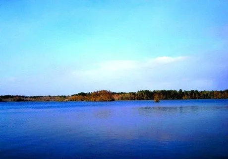 Lake Talquin, Tallahassee Florida