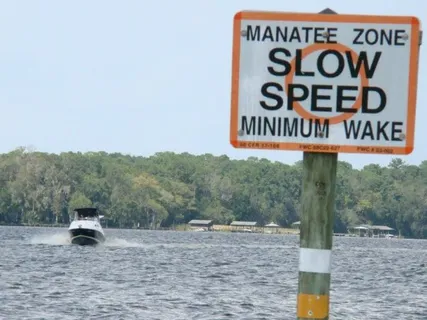 Doctor's Lake in Orange Park