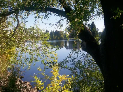 Snake River along the Greenbelt