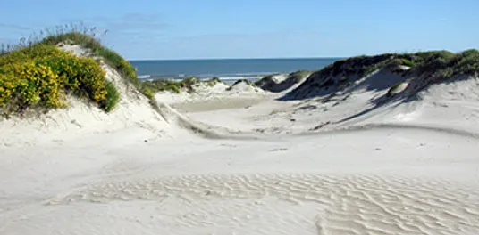 South Padre Island National Seashore