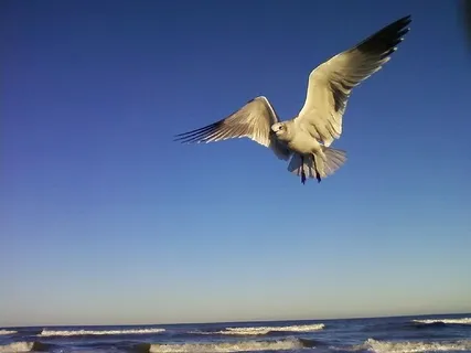 Daytona Beach