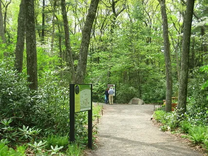 Garden in the Woods, Framingham, Massachusetts