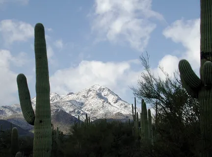 Wasson Peak