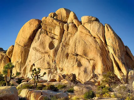 Rock climbers at Joshua Tree National Park