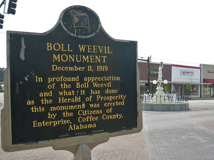 Boll Weevil Monument, Alabama Historical Marker