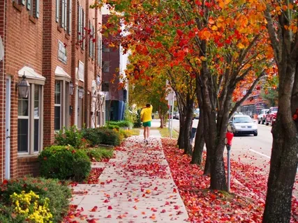 A downtown street in Autumn